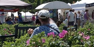 Belfast wraps up 27th annual Arts in the Park