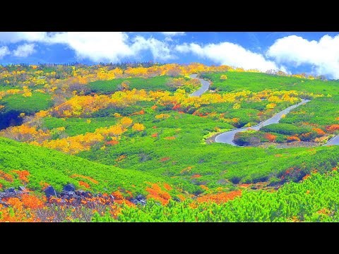 4K映像 錦秋の天空「紅葉の乗鞍岳」標高2,700m 10月上旬～ 長野県松本市 絶景癒し自然風景 Japan Mt Norikura Autumn leaves Nature Relaxation