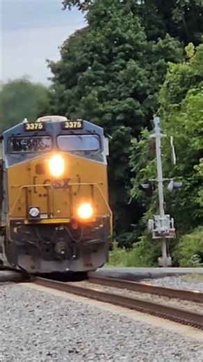 CSX TRAIN HORN GETS STUCK!!!