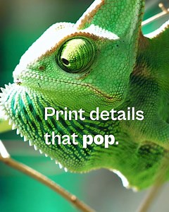 433 reactions · 22 shares | Print your photos on pure glass for a vibrant, frameless display with unparalleled detail and clarity. | Fracture | Facebook