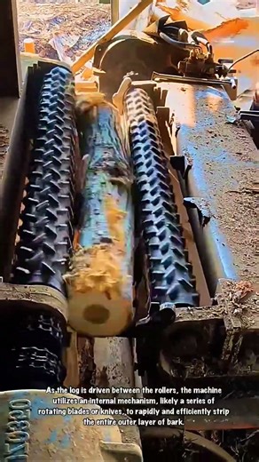 Tree-tment Plan: Extreme Wood Waxing for a Smooth Start