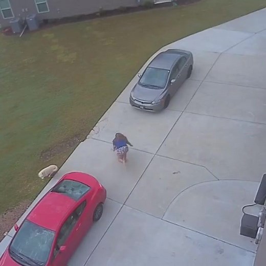 1.2M views · 14K reactions | Good boy hit her with the juke moves (Via IG/n_patlan ) | Barstool Sports | Facebook