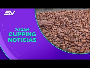 Cacao route in Vinces seeks to highlight the history of this fruit | Televistazo in the Community