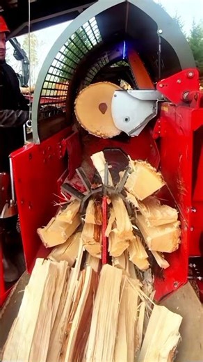 Log Splitter #logsplitter #firewood