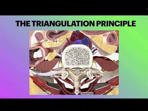 "OnlyTrans" Ultrasound Guided Lumbar Puncture