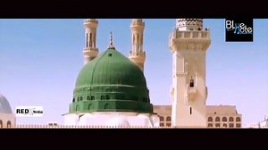 61 reactions | Taj Dar E Haram | Dhani Breeded Bulls | Facebook