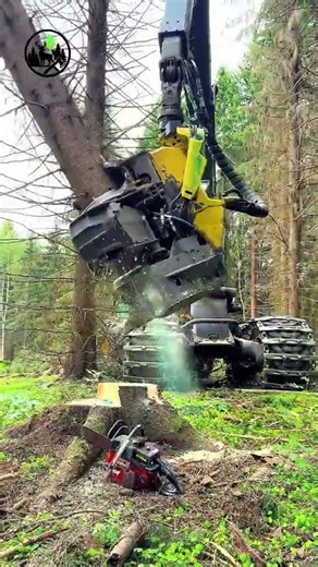 🌲 Found a chainsaw in the forest… 😅 John Deere 1270G #forestry #logging #asmr #satisfyingvideos