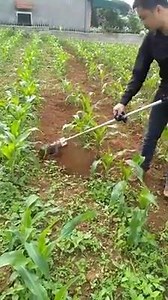 10M views · 36K reactions | Hand-held weeding machine. | Augustine Sang | Facebook