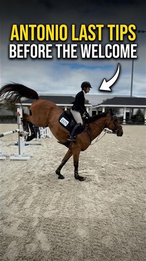 Chasing the perfect score 🏆 #showjumping #horseriding