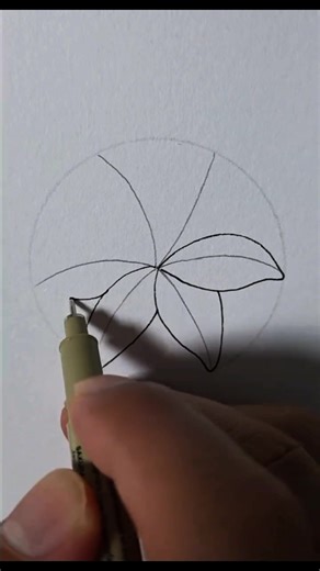 Lily flower drawing ideas #draw #art | Emon Artist