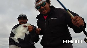 7.9K views · 379 reactions | Pro crappie team Jordan Sanders and Jason Holleman figured out quickly that they had to keep their bait very still in order to get the Grenada Lake Giants to bite. | Crappie Masters | Facebook