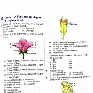 Sexual Reproduction In Plants - Biology KCET/ NEET - MCQ Test - Teachmint