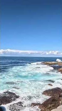 Rock Fishing Malabar The Hidden Ledge Everyone Walks Past! #rockfishing #sydneyfishing #fishing