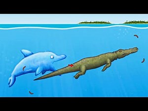 DELFIN FRISST KROKODILE