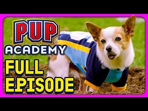 Spark Wants Back | Pup Academy Full Episode S2E2