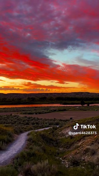 ㅤ (@user64628373)’s videos with original sound - __windowmaker__2