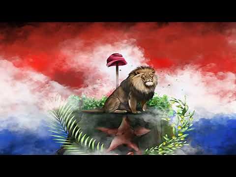 La historia de la bandera Paraguaya