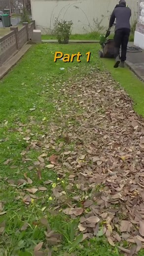 Exploring Reddit Readings: The Best Stories Uncovered