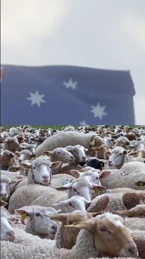 The Most Interesting Facts About Every Country