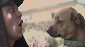 Watch Eminem diss everything in this parody music video