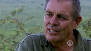 Ivory poaching: Dramatic effort to save elephants as Cairo's illegal ivory trade booms