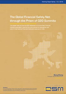 The Global Financial Safety Net through the Prism of G20 Summits