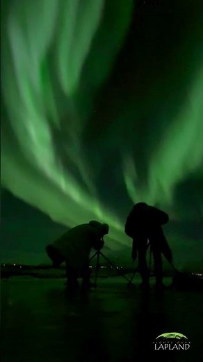 Northern Lights in Abisko National Park, January 2025
