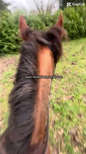 I love riding her sm x