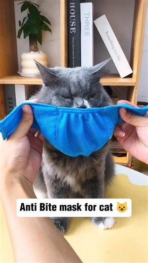 Cat | Paw | Meow on Instagram: "An anti-bite mask is a lightweight, comfortable device that fits over a cat's face or muzzle, preventing them from biting or mouthing. It's usually made of soft, breathable materials and has holes for breathing and visibility. Link in Bio 🐾 #cats #cat #catsofinstagram #catsofusa #kittylove #usacatlovers #kitty"