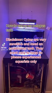 1.4K views · 26 reactions | There are many different ways to setup an octopus tank. This is how I did it! | The Reef Doc | Facebook