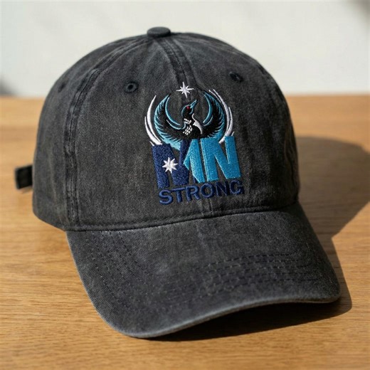 Embroidered Minnesota Rebel Alliance Hat, Political Cap, Pro Immigration, Abolish ICE - Etsy