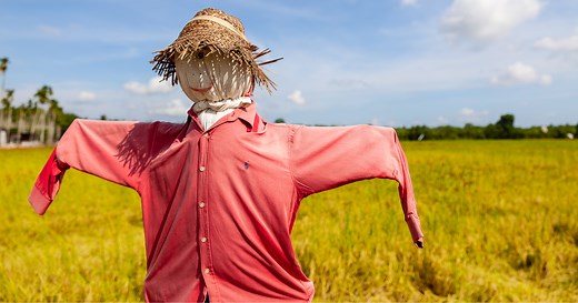 Jardin : comment fabriquer un épouvantail soi-même pour éloigner les oiseaux ?