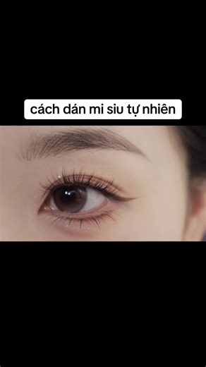có bà nào chưa biết dán mi k#makeup #makeupduxuan2026 #makeuptutorial @Makeup Tutorial DY