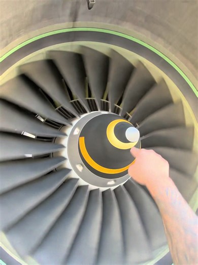 A321 Arrival from the POV of a Ramp Agent