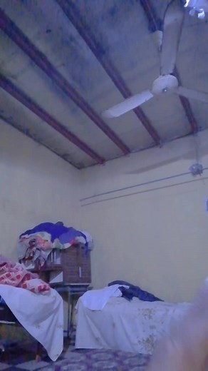 Indoor Ceiling Fan Features and Room Decor Tips