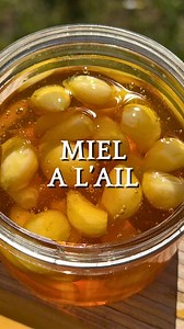 Tu savais que le miel fermenté à l’ail est un remède naturel ultra puissant ? 🧄🍯 Un incontournable en autonomie pour soutenir l’immunité ! ✅ Recette simple : 👉 Épluche les gousses d’ail 👉 Coupe légèrement la base 👉 Remplis un pot à 2/3 d’ail 👉 Recouvre avec du miel cru non pasteurisé 🍯 ⏳ Laisse fermenter minimum 1 mois (idéal 2-3 mois). 💡 Pense à ouvrir le pot de temps en temps les premiers jours pour laisser sortir les gaz. 💛 Utilisation : ➡️ 1 c. à café de miel / jour ou 1 gousse si t