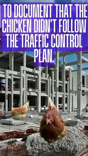 Construction Quality Control Manager Joke of the Day