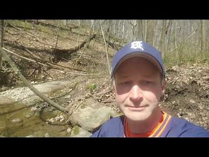 Portland State Game Area - Portland, Michigan - April 18, 2020