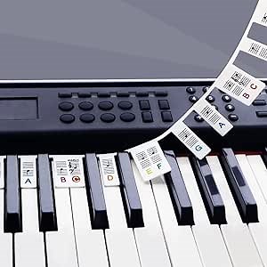 Removable Piano Key Stickers Note Labels for 88 Key Full Size GICUNK Silicone Reusable Piano Keyboard Stickers for Beginners Comes with Box(Color)