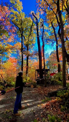 16 reactions | Mark's Tree Service was in Sleepy Hollow on Monday doing a total removal of 2 large oaks, a dead cherry, a maple, and trimming back limbs that overhung the customer's cabin. Protect your investments and give us a call at 304-579-7144. We are licensed and insured in Hedgesville, WV. Support local! Please share. We offer free estimates and free tree assessments. No tree is too tall - we cut them all. | Mark's Tree Service | Facebook
