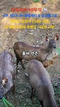['페이지 너머의 풍경][아프리카 10부작🌊]4부. 탄자니아 세렝게티 & 응고롱고로 (Serengeti & - "끝없는 평원이 건내는 위로, 네 영혼이 원래 속했던 거대한 고향"