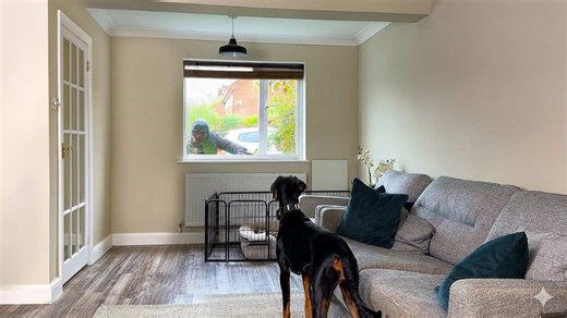 Will a Doberman protect during a home invasion?