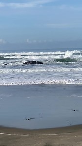 1.6K views · 148 reactions | It’s such a beautiful day today! Perfect day to watch the waves! | Chinook Winds Casino Resort | Facebook