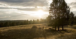 Cranbrook | Mountain Biking BC