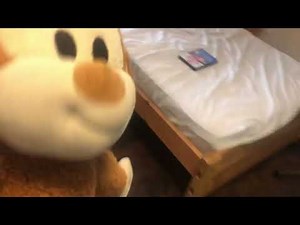 Dave The Monkey Watches The MGM DVD 2003 Logo