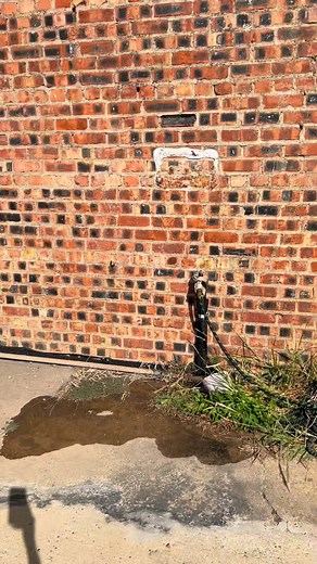 Whether it’s watering the plants 🌻 or handing your payroll and taxes - we do whatever it takes to get sh*t done around here.😎 | Single Source