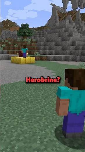 Other Herobrine's In Minecraft?