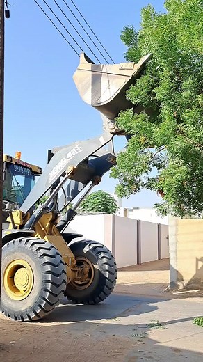 Tree Trimming with a Heavy-Duty Front Loader