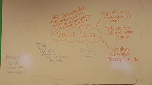 Action Plan and Lesson Plans