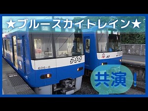[Blue Sky Train] I went to Misakiguchi to see the collaboration of the only two blue trains on th...